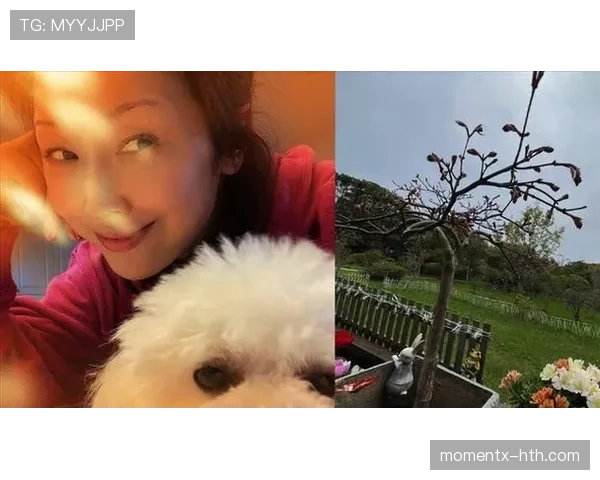 孙悦家的狗都比我会理财